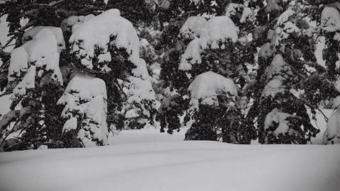 snowy scenic shot of powder