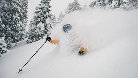 guest riding in powder
