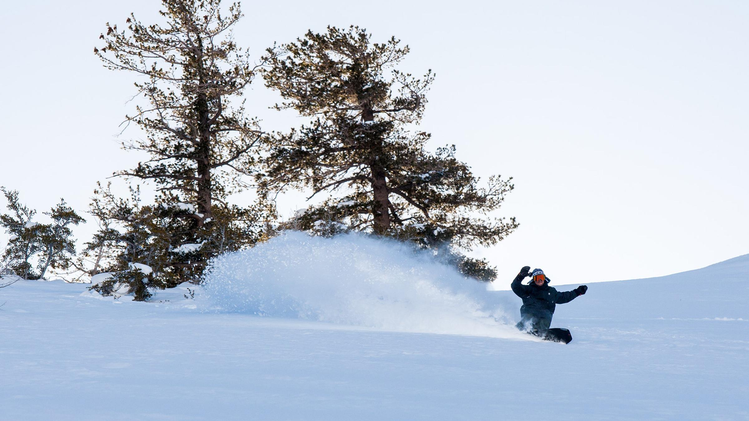 On Loon - Rent Yeti Tundra® 35 Cooler - Epic Adventures Await