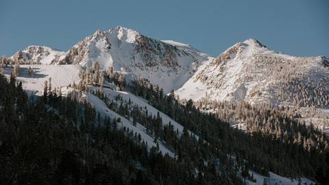 scenic shot of June Mountain